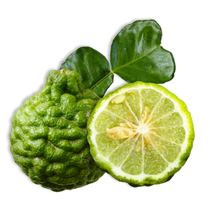 Bergamote