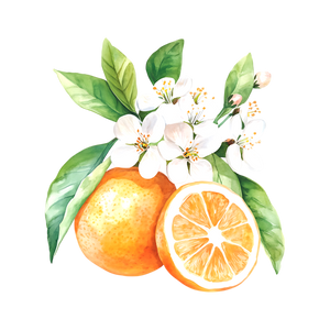 Orange blossoms