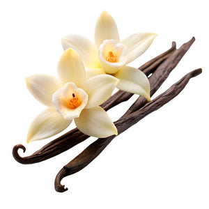 Vanilla